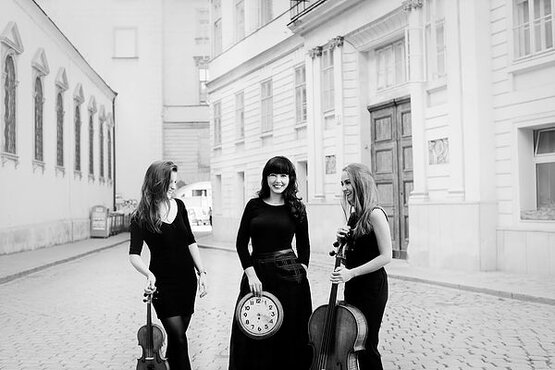 Trio Immersio © Julia Wesely
