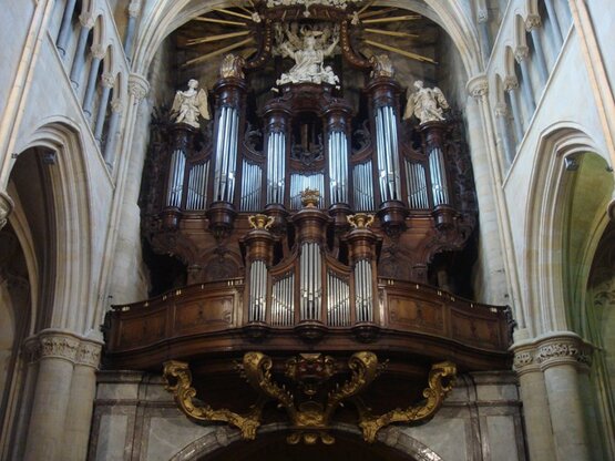 Tongeren Kathedrale/Picard-Orgel © Michael Gailit